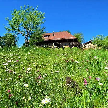 Hernis-hoefle * Elzach