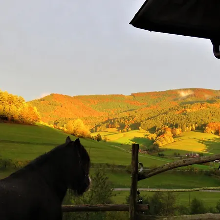 Hernis-hoefle Elzach