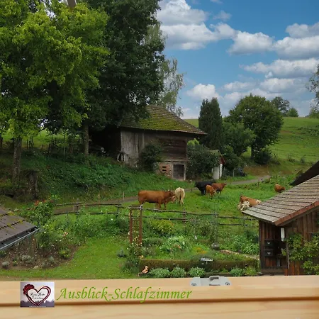 Hernis-hoefle 5 Sterne 