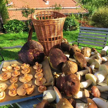 Hernis-hoefle 5 Sterne 