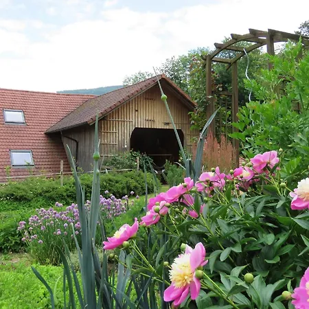 Hernis-hoefle 5 Sterne 